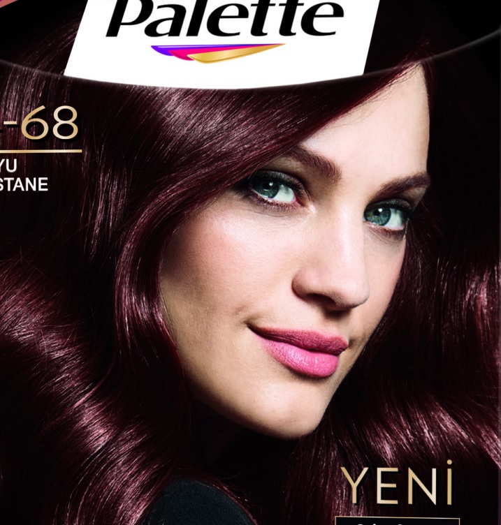 Palette Deluxe 4.68 Koyu Kestane Saç Boyası