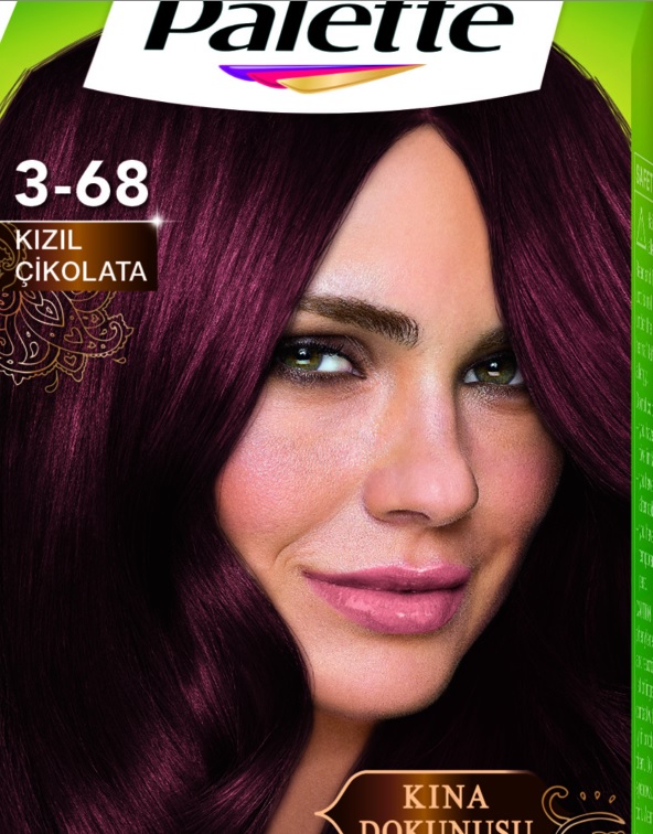 Palette Natural Colors 3.68 Kızıl Çikolata Saç Boyası